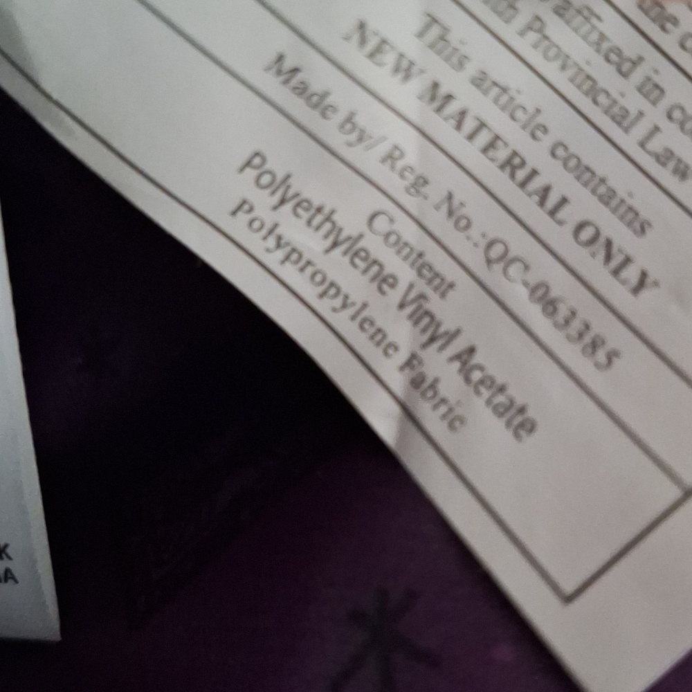 Disney Parks Hocus Pocus Backpack - Picture 13 of 14